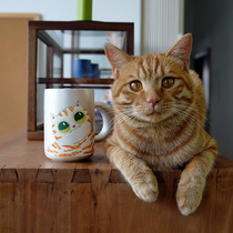 16 open-hand painted orange cat silver color Mark Cup office household coffee cup Cup with a couple Cup