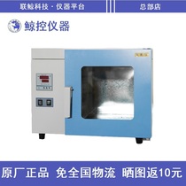 (Whale control instrument) DD Series oven electric constant temperature blast drying oven industrial oven drying box