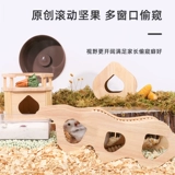 Гроф -флаковые ветви цветочных ветвей серии с молотком заглядывают в подвесные туннели.