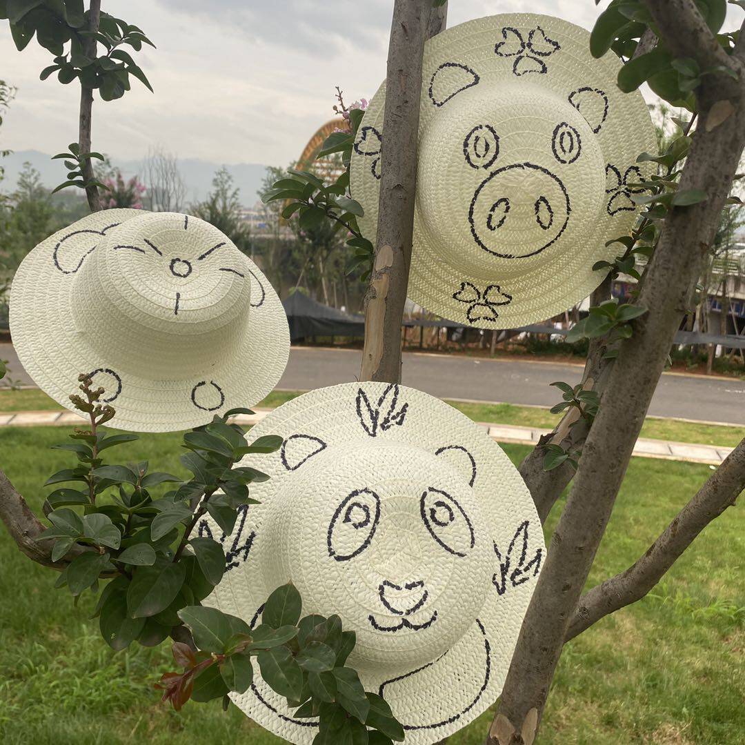 儿童DIY绘画草帽:激发创意,让宝贝成为小小艺术家!🎨 -帽子-淘宝好物网