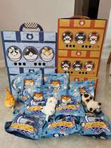 Mystery small gift single shot not