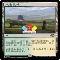 (Planeswalker) Modern Horizons 3 MH3 Gold Chinese English Flash Windswept Wasteland 235