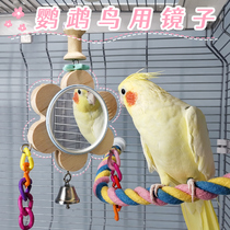 Parrot mirror toy bird cage decoration bird hanging Xuanfeng tiger skin peony bird puzzle accessories