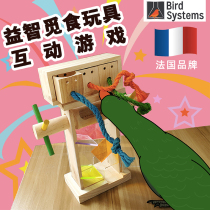 Imported parrot supplies bird educational toys nibbling swing climbing grinding claws grinding mouth Xuanfeng peony small sun