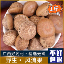 Guangxi wild fresh wind fruit turtle head dry fruit - skin male bubble material 500g