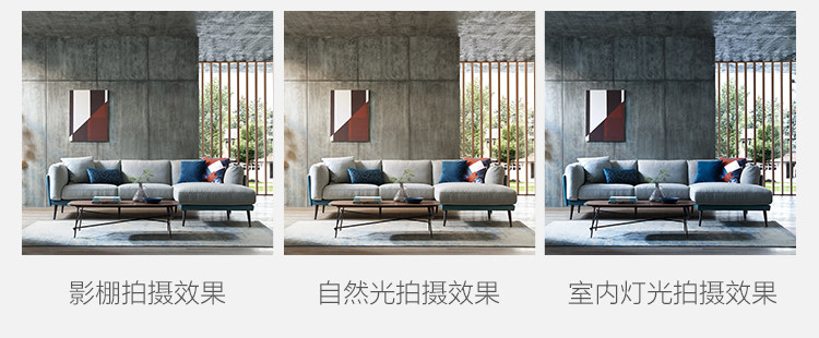 RBE2K Комбинированная аберрация версия 750-двое цвета sofa.jpg