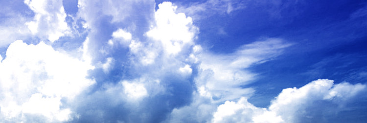 Selle de vélo Mountain Bike BASECAMP - Ref 2359137 Image 29