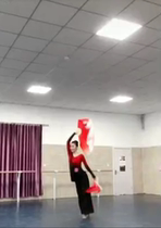 Womens adult Han Chinese Seedlings Song Dance Suit to perform a combination exercise costume Dingding as a folk great North Dance Classroom New