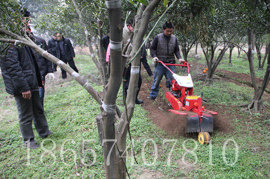 Strawberry grape ginger ditching machine 9-13 horsepower ditching soil cultivating machine tillage machine micro tillage machine rotary tiller