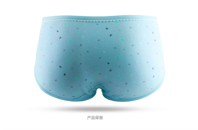 Slip jeunesse NF14X25047 en coton - Ref 666079 Image 17