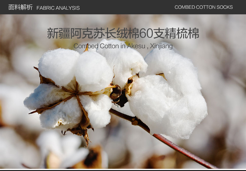 Chaussettes - collants ZN725 - Ref 778911 Image 10