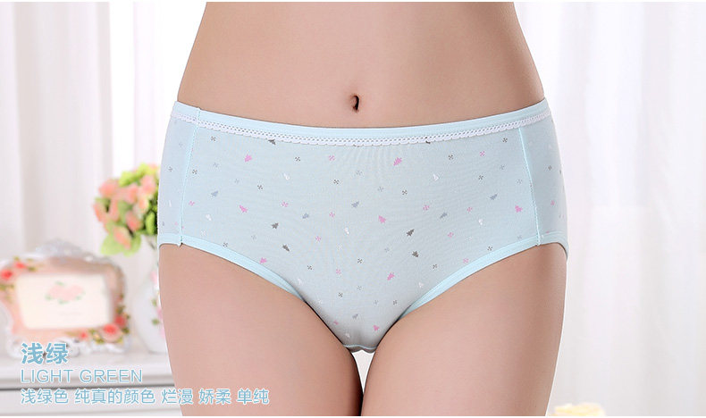 Slip jeunesse NF14X25047 en coton - Ref 666079 Image 26