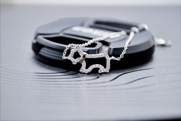 Đồ trang trí táo đỏ Hợp kim mạ vàng Kim cương dễ thương Puppy Điều chỉnh vòng đeo tay Vòng chân cá tính Sinh viên ngọt ngào - Vòng chân lắc chân nữ thủ công