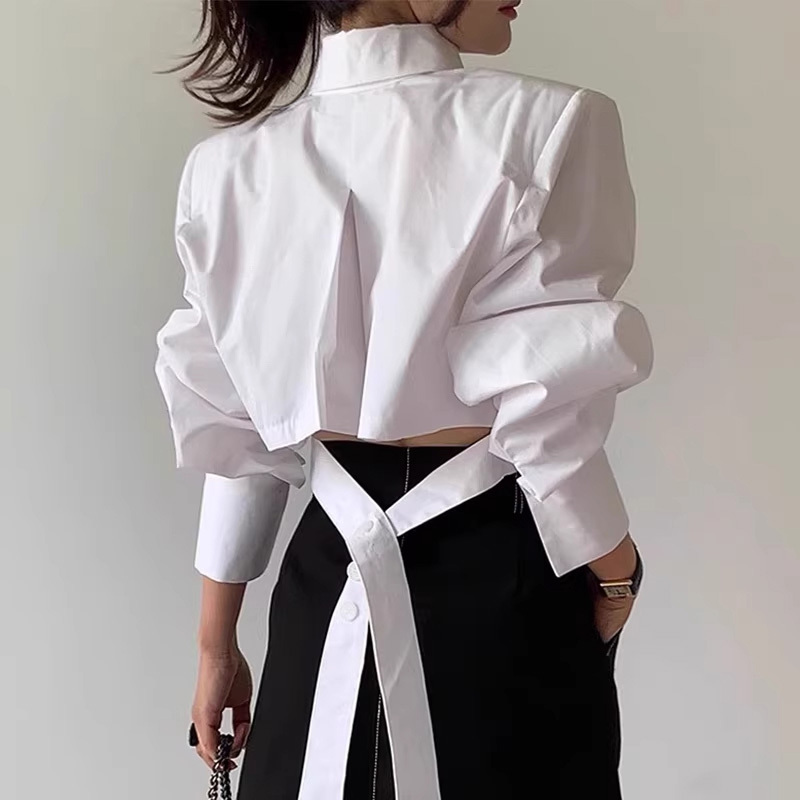 Korean-Style Spring Niche Design Lapel Top with Back Cutout, Tie-Up Buttons, Loose and Versatile Short Shirt for Women