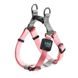 Ispet Pet Dog Dog Bare Boys Barting Stranger Summer Vest -Type Ratbling Raiders La Blado Shibrah Inu Mid -Large Dog