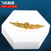 Глава грудной клетки