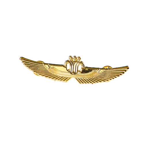 Глава суда безопасности Глава службы безопасности аксессуары, пилоты, маркированные самолеты Капитан Главы Главы Сундук