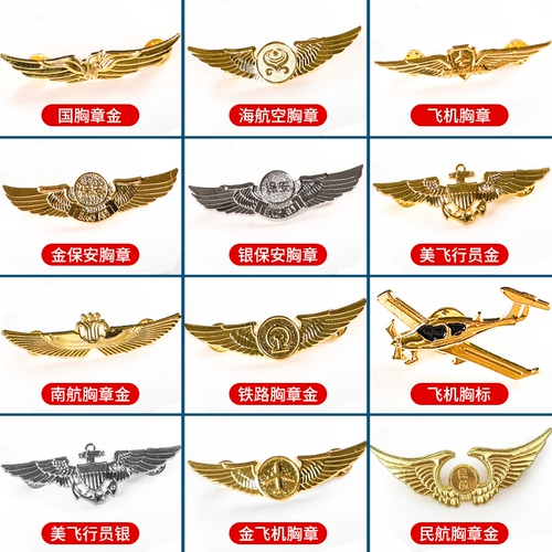 Глава суда безопасности Глава службы безопасности аксессуары, пилоты, маркированные самолеты Капитан Главы Главы Сундук