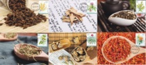 2023-20 Medicinal Plants Extreme Tablets 6 Complete Sales Medicine Capital Zhangshu Postal Date Stamp
