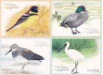 Hong Kong Migratory Birds Birds Hong Kong Stamped Postcards 4 New Films