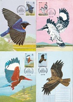 Hong Kong Birds Birds Hong Kong Extreme Movies 4 Complete