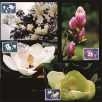 2005-5 Flowers Magnolia Extreme Film 4 Complete Sold Chengdu Magnolia Scenery Stamp