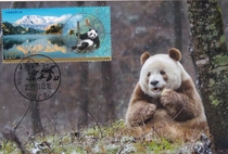 2022-26 Giant Panda National Park Extreme Film Single Sold Guangyuan Tangjiahe Panda Scenery Stamp