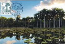 Pu 21 Scenery of the Motherland Xishuangbanna Extreme Film Scenery Stamp of the Tropical Botanical Garden of the Chinese Academy of Sciences on the first day of sale