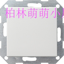 Germany gira switch thermoplastic 012603