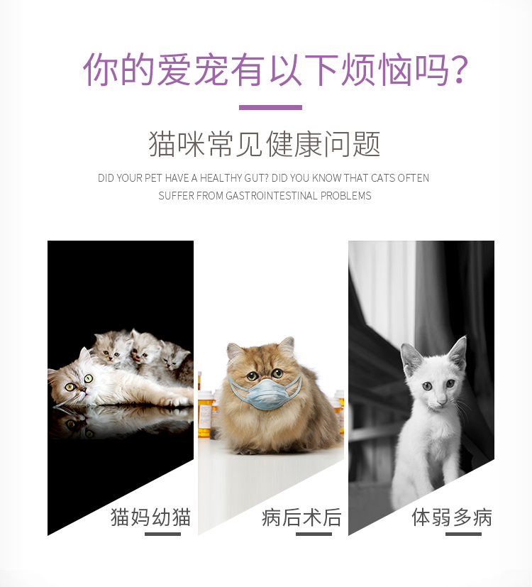 Gudeng mèo sữa dê đặc biệt bổ sung canxi và phốt pho điều hòa dạ dày phát triển cho con bú mẹ mèo sơ sinh sữa bột - Cat / Dog Health bổ sung 	sữa cho chó có bầu