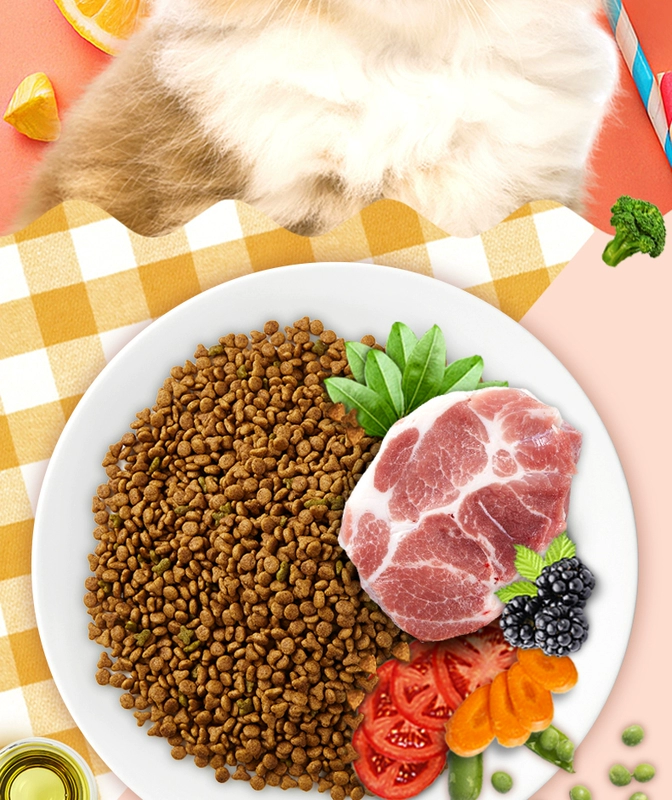 Nori yến mạch để bóng tóc vào thức ăn cho mèo 1,4kg trong nhà vào mèo điều hòa dạ dày lông bóng thức ăn tự nhiên muối thấp - Cat Staples
