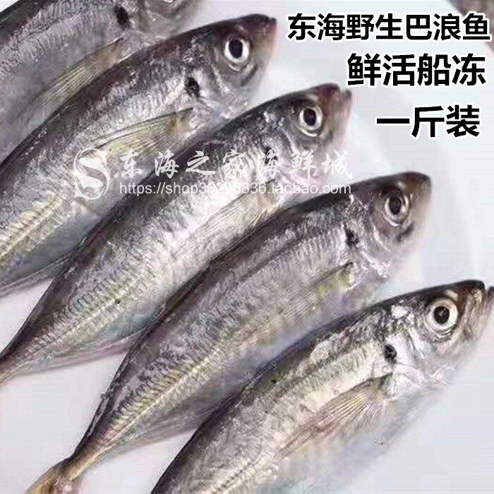舟山巴浪鱼:东海新鲜捕捞,3斤装新鲜刺巴鱼,土豪蓝圆鲹来袭!🐟 -其它-淘宝百科网
