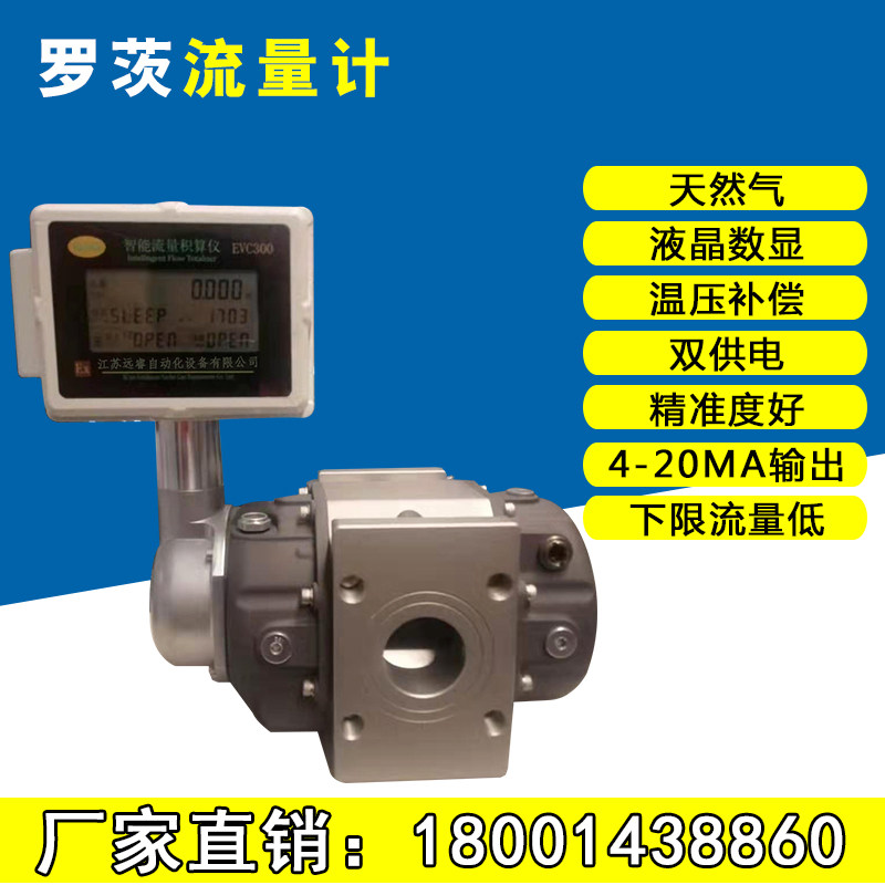 Intelligent roots flowmeter Gas waist rotation meter Gas liquefied gas gas meter DN25 50 80