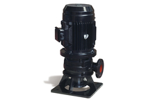 Order link Shanghai Kaiquan WL series small vertical sewage pump WL2155-251-65 cast iron material