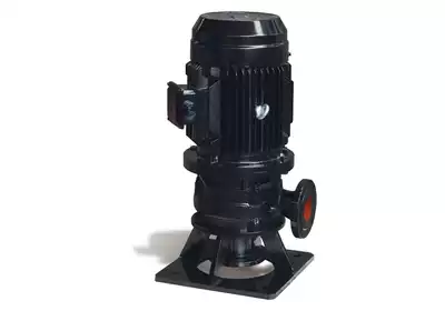 Ordering hyperlink Shanghai Kaiquan WL series small vertical sewage pump WL2155-251-65 cast iron material