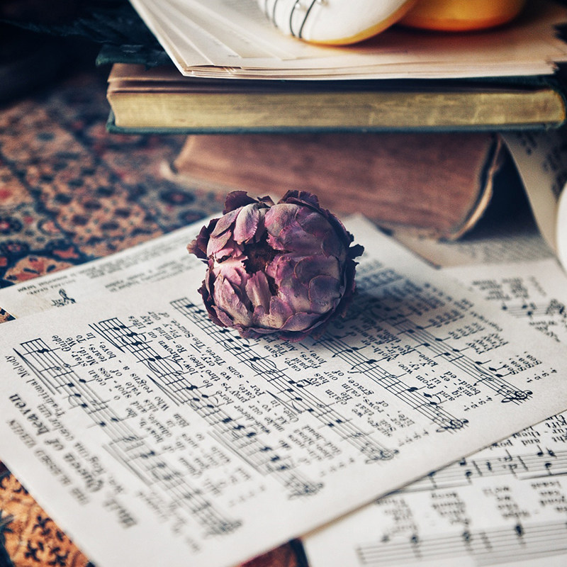 Retro Background Paper Score Five Line Spectrum English Photo Background Paper Retro Background Paper Photography Photo Background Paper