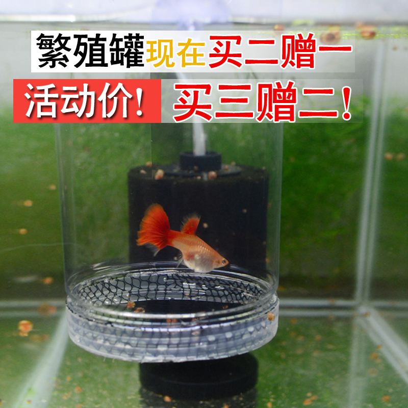 Peacock Fish Breeding Box Bucket Fish Isolation Net Home Small Production Box Mother Fish Raw Small Fish Separate Production House Hatching Net