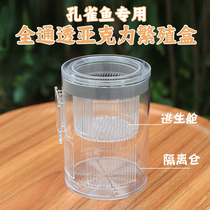 Acrylic guppy breeding isolation box small fish breeding tank small fish delivery room female fish isolation bottle