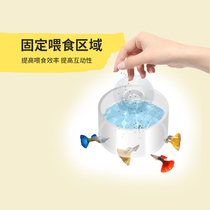 Acrylic feeding ring suction cup floating fish feeding ring fish tank water surface fish feeder feed ring ring water grass sea tank