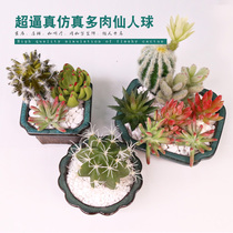 Simulation succulent plant cactus fake meat simulation cactus bear boy simulation flower desktop flower pot decorations
