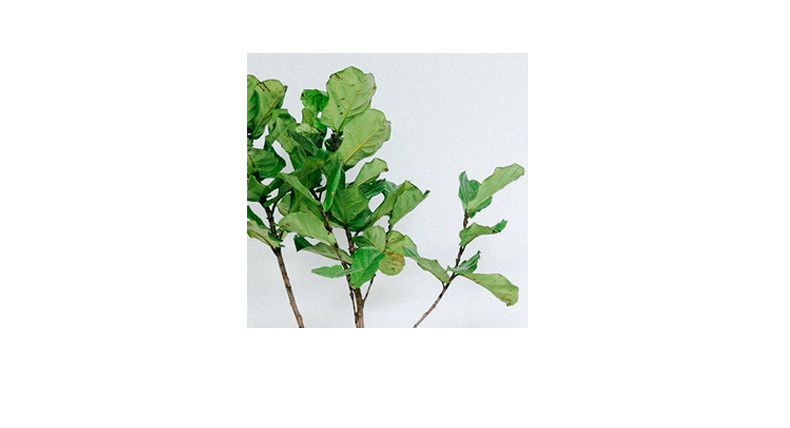 Maillot de bain pour femme - Ref 3037735 Image 13