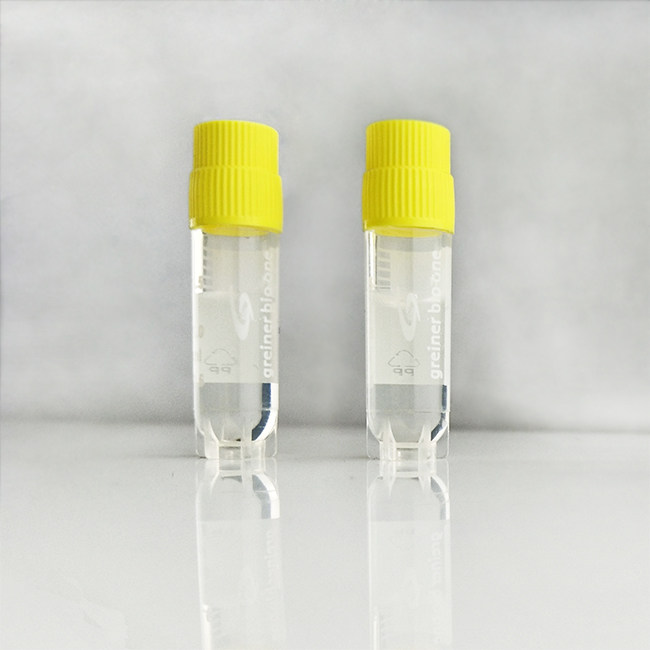 军团菌菌种保存管   HBPT001-6   50支