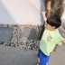 Bobo lợn quần áo trẻ em mùa hè mẫu lớn trẻ em nước ngoài áo thun ngắn tay thủy triều phiên bản Hàn Quốc 2019 bé trai giản dị áo sơ mi từ bi - Áo thun shop trẻ em Áo thun