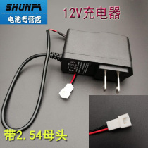 12V LITHIUM BATTERY CHARGER 11 1V POLYMER LITHIUM BATTERY CHARGER 1A2 54 MOTHER HEAD IC TURN LIGHT FUNCTION