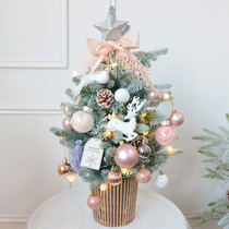 South Koreas Tongan meritocratic bright sheet Pink Light Snow Retro Gold Potted 60CM Mini 90CM Christmas Tree