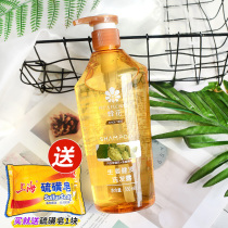 Bee Flower shampoo silicone oil free hair 550ml ginger hops refreshing oil control shampoo male Lady domestic