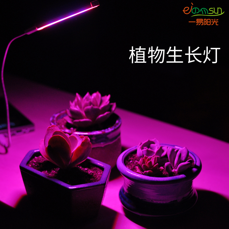 USB Led Plant Growth Light Indoor Imitation Sunlight Tonic Light Full Spectrum Floral Multimeat Red Blue Light