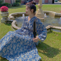 Warm Warm Soft Blue Small Rose Printed Method Snowspun Inner Lap V Collar High Waistcoat Dress Fall New Woman