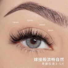 Dark Swan Eyelash Secret 04 Dense Grafted Eyelash Female Natural Simulation Single Cluster False Eyelash