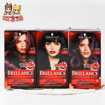 Spot German Original Fashion Schwag Hair Dye Hair Dye Hair Cream Plant Black Gold 891